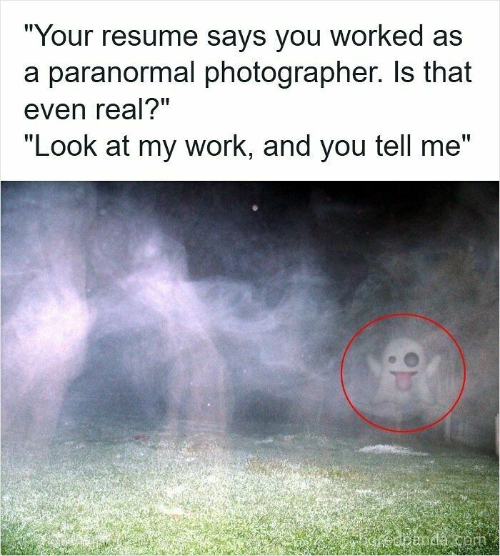 Wait, They Actually Ranked These Resume Memes?!