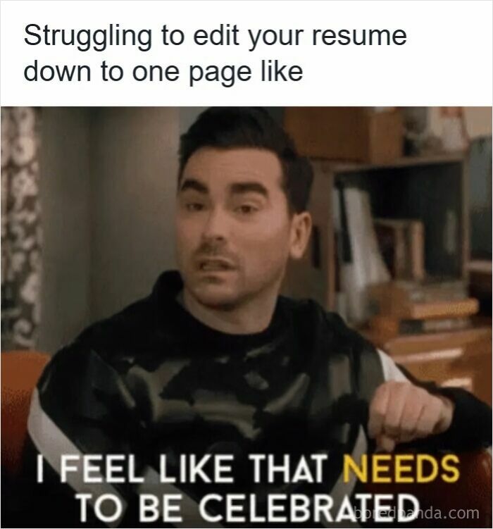 Wait, They Actually Ranked These Resume Memes?!