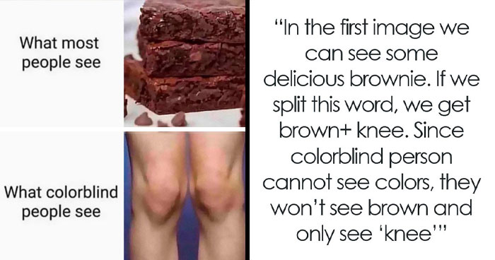 Wait, They Actually Explained These Memes?!