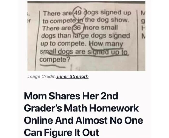 Wait, They Actually Explained These Memes?!