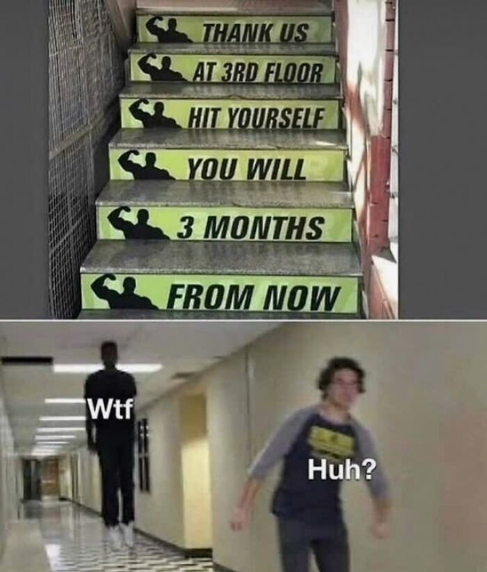 Wait, They Actually Explained These Memes?!