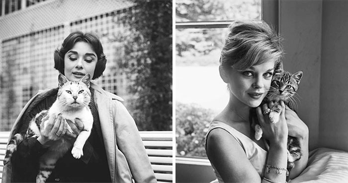 Wait, They Took Pictures With Cats Back Then?! 44 Vintage Cat Pics That’ll Make You Smile