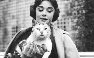 Wait, They Took Pictures With Cats Back Then?! 44 Vintage Cat Pics That’ll Make You Smile