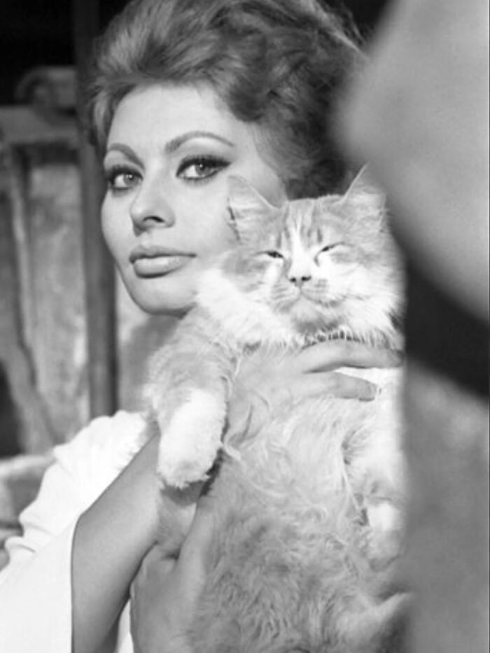 Sophia Loren