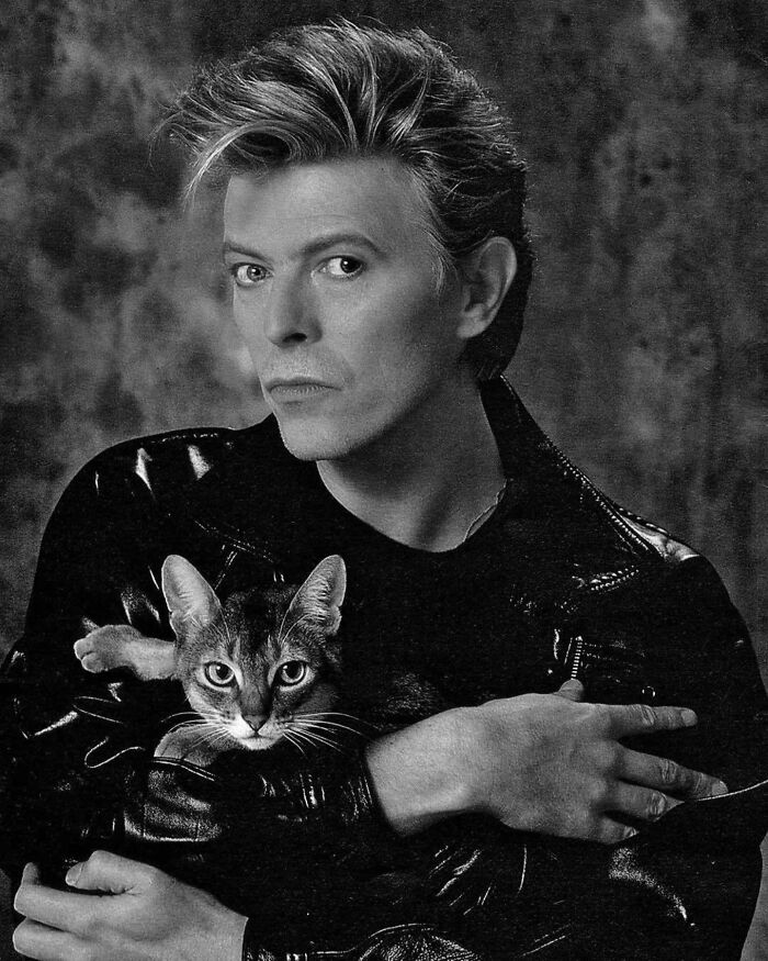 David Bowie