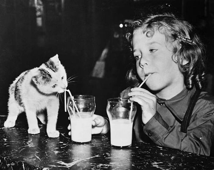 Wait, They Took Pictures With Cats Back Then?! 44 Vintage Cat Pics That’ll Make You Smile