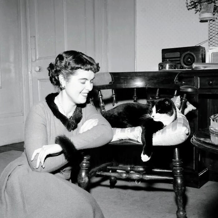 Wait, They Took Pictures With Cats Back Then?! 44 Vintage Cat Pics That’ll Make You Smile