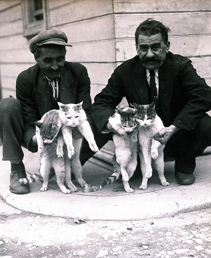 Wait, They Took Pictures With Cats Back Then?! 44 Vintage Cat Pics That’ll Make You Smile