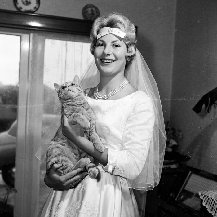 Wait, They Took Pictures With Cats Back Then?! 44 Vintage Cat Pics That’ll Make You Smile