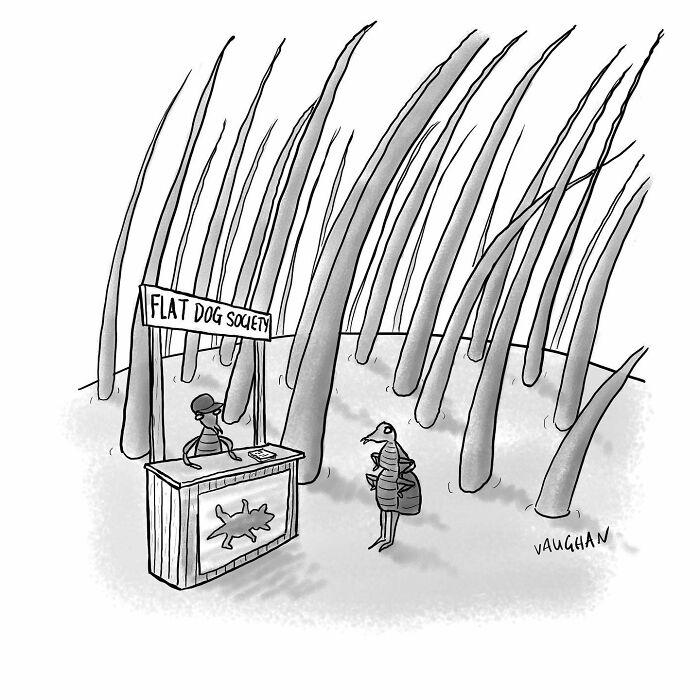 30 Hilarious One-Panel Comics That Nail Those Everyday Oops Moments