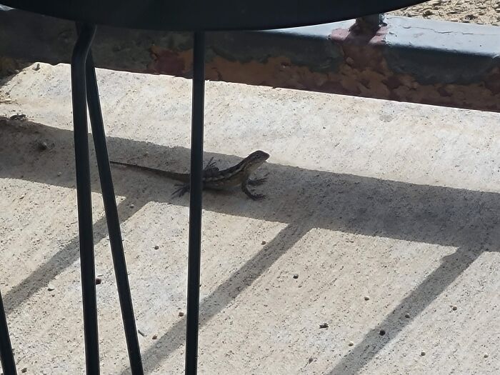 Wait, People Actually Don’t Know These Everyday Mysteries?