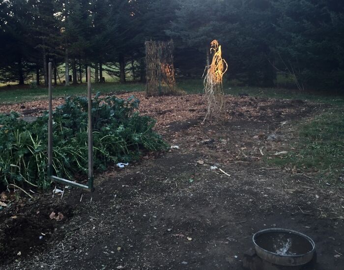 Wait, People Actually Don’t Know These Everyday Mysteries?