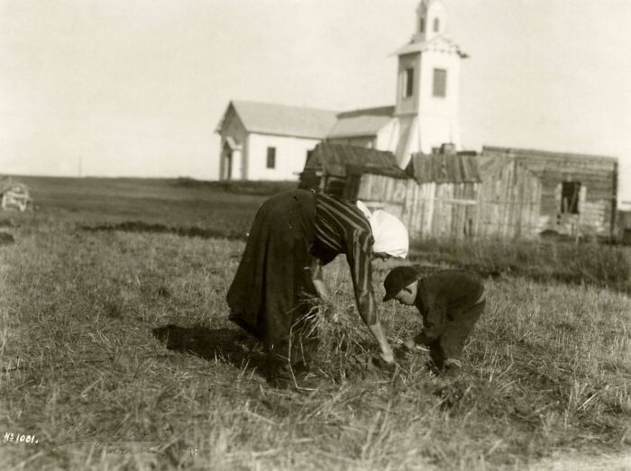 A Mom And Kid Picking Leftover Crops In Sweden (1918)