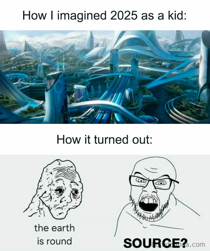 Wait, They Actually Ranked These Random Memes?!