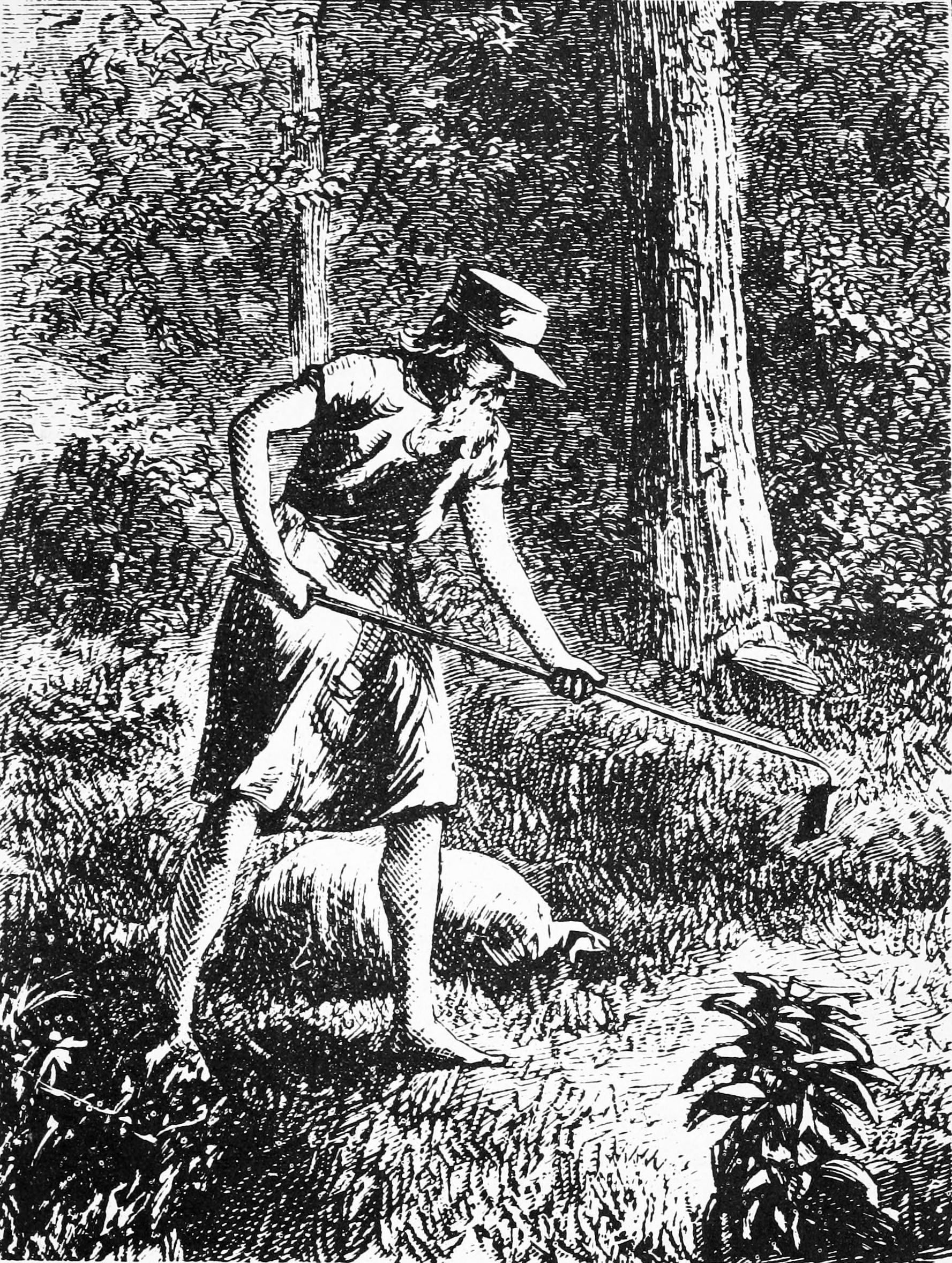 USA’s Johnny Appleseed: Real Legend or Tall Tale?