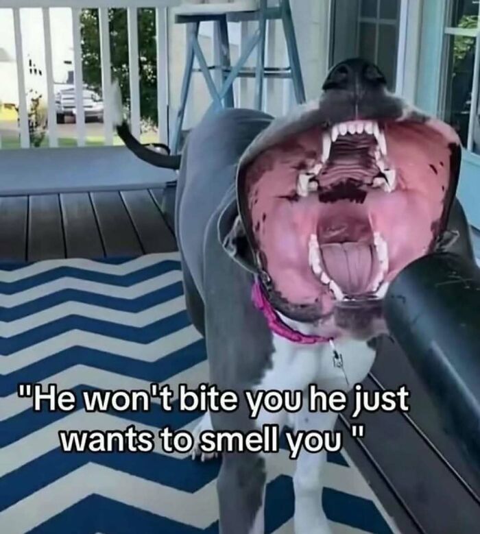 Wait, They Really Shared These Cringy Pics?!