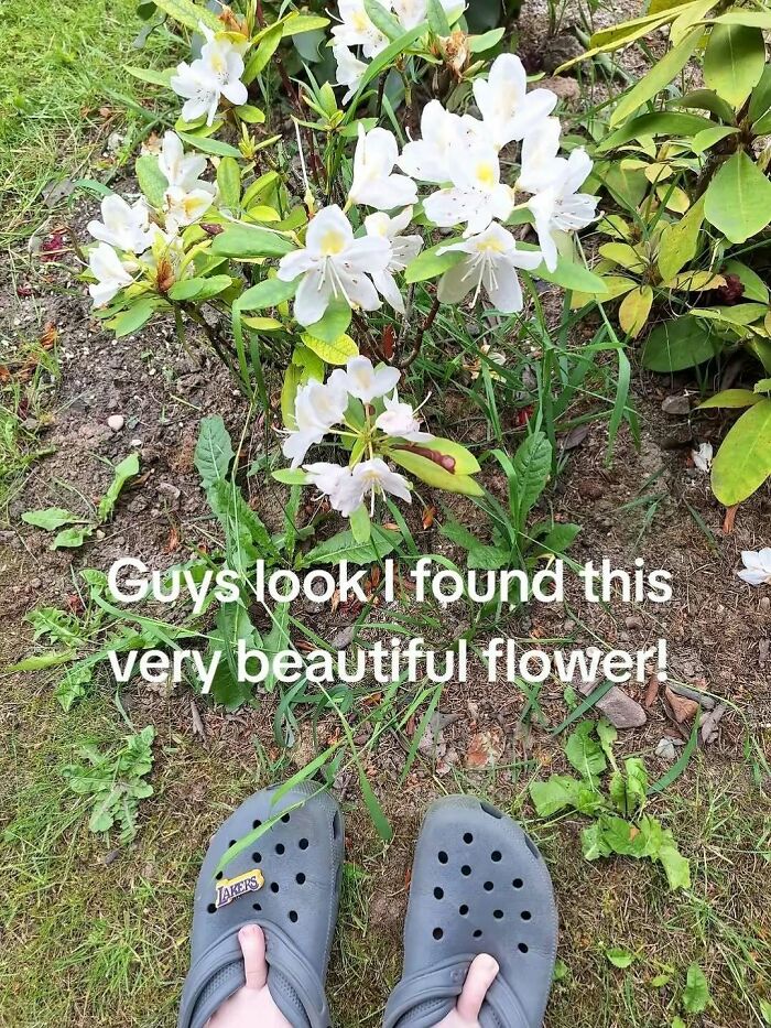 Wait, They Really Shared These Cringy Pics?!