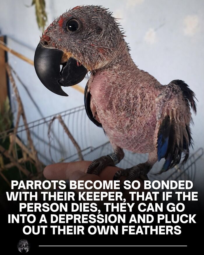 30 Creepy Facts That Are So Weird You'll Seriously Do a Double Take