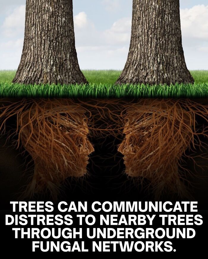 30 Creepy Facts That Are So Weird You'll Seriously Do a Double Take