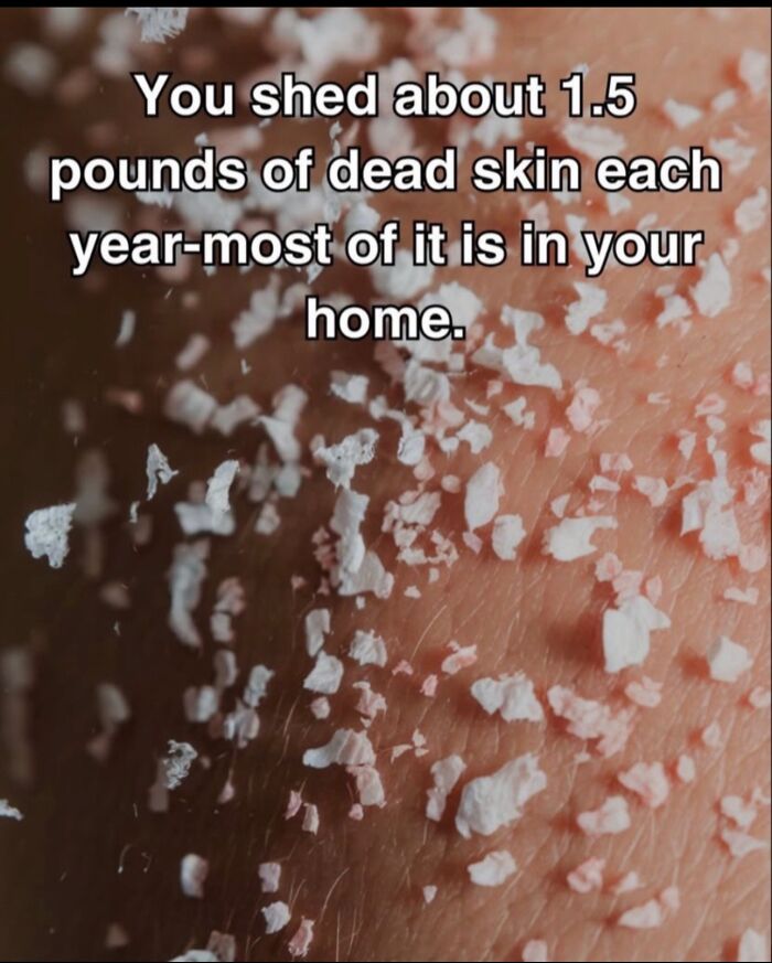 30 Creepy Facts That Are So Weird You'll Seriously Do a Double Take