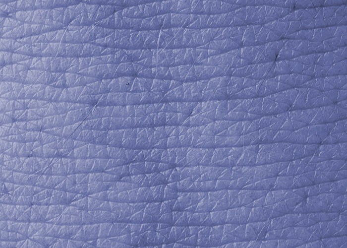 Wait, People Have These Wild Physical Features?!