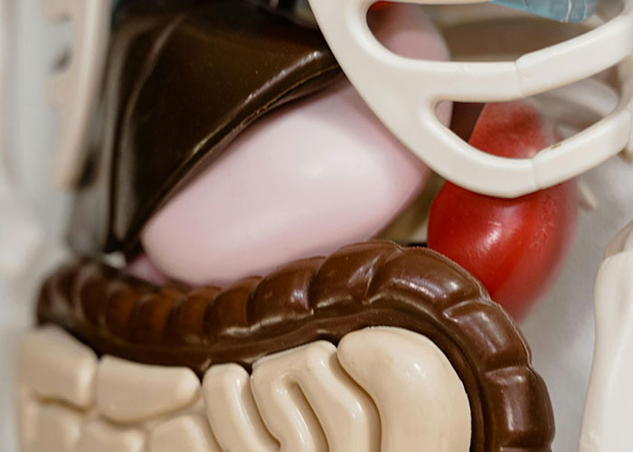 Wait, People Have These Wild Physical Features?!