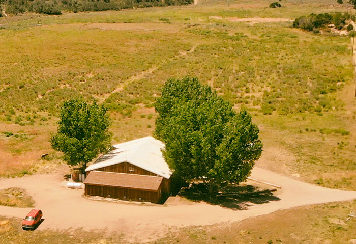 When Your Gut Screams 'Run!' And You Actually Do