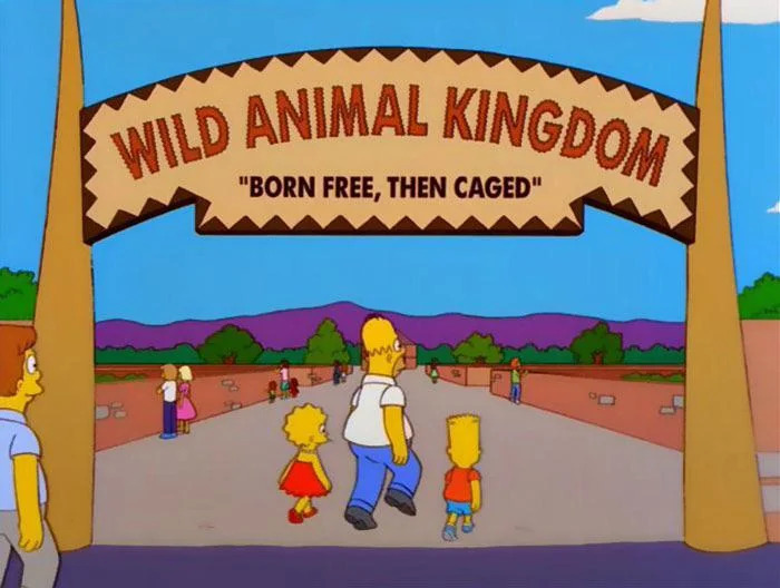 Wait, They Actually Put These Signs In The Simpsons?!