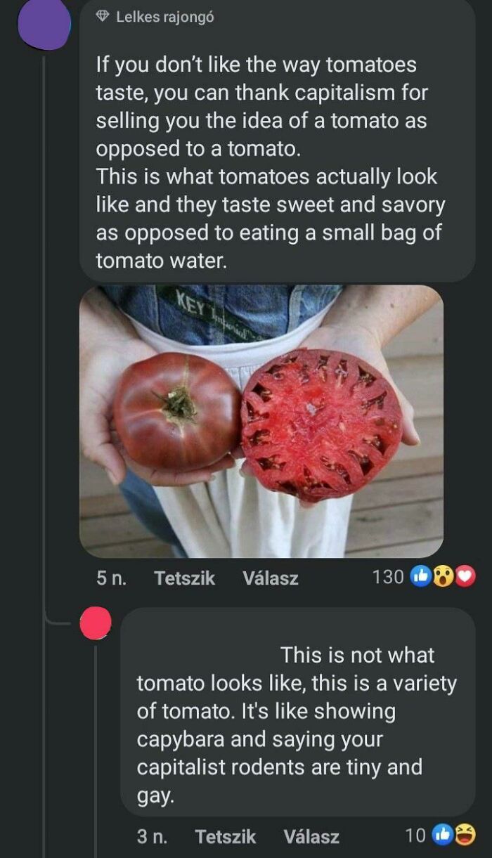 An Intriguing Tomato Title