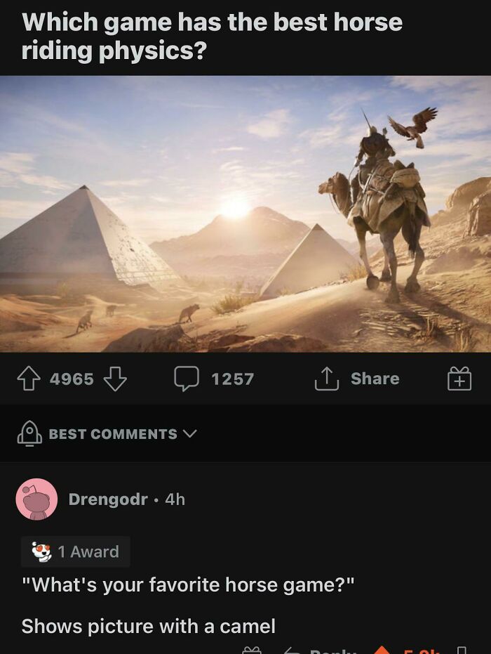 Camel Time
