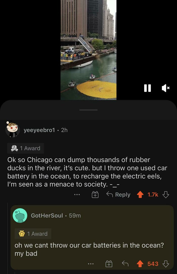 Recharging Electric Eels? Sure!