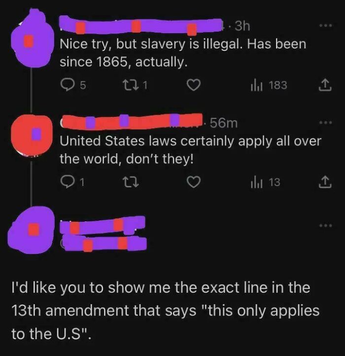 "The Universal 13th Amendment"