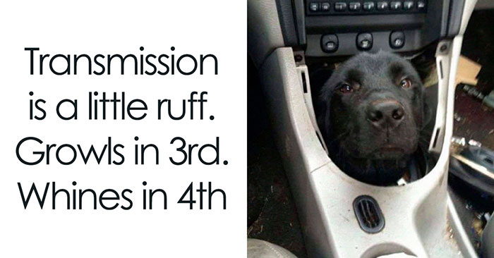 The Wildest, Most Relatable Memes That Nail Everyday Life