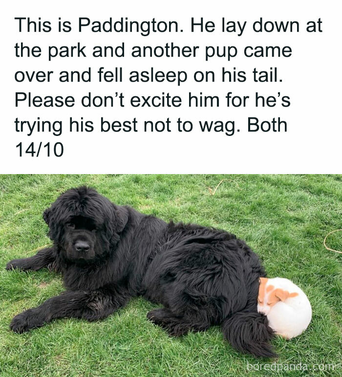 The Wildest, Most Relatable Memes That Nail Everyday Life