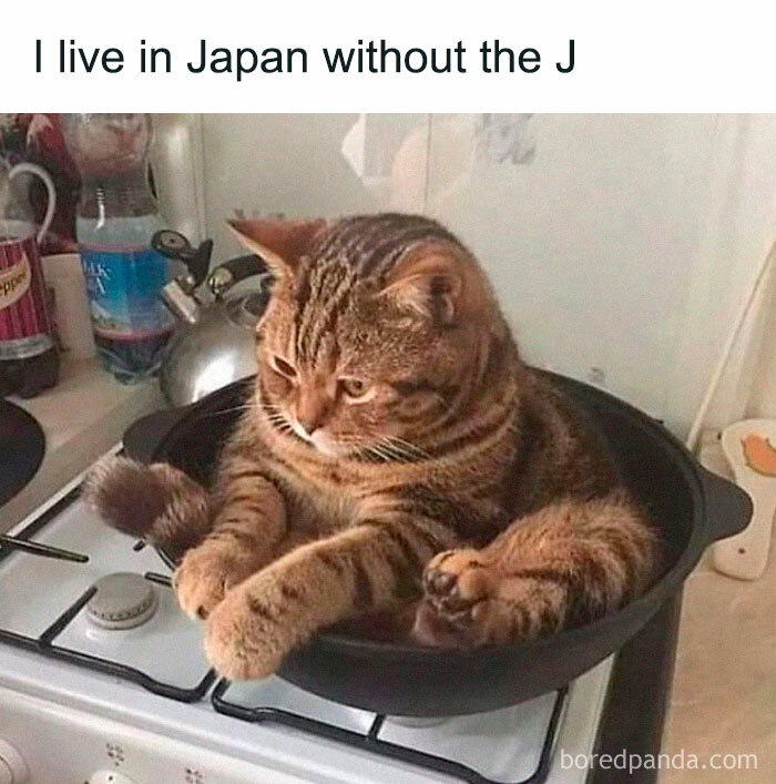 The Wildest, Most Relatable Memes That Nail Everyday Life