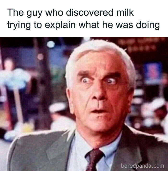 The Wildest, Most Relatable Memes That Nail Everyday Life