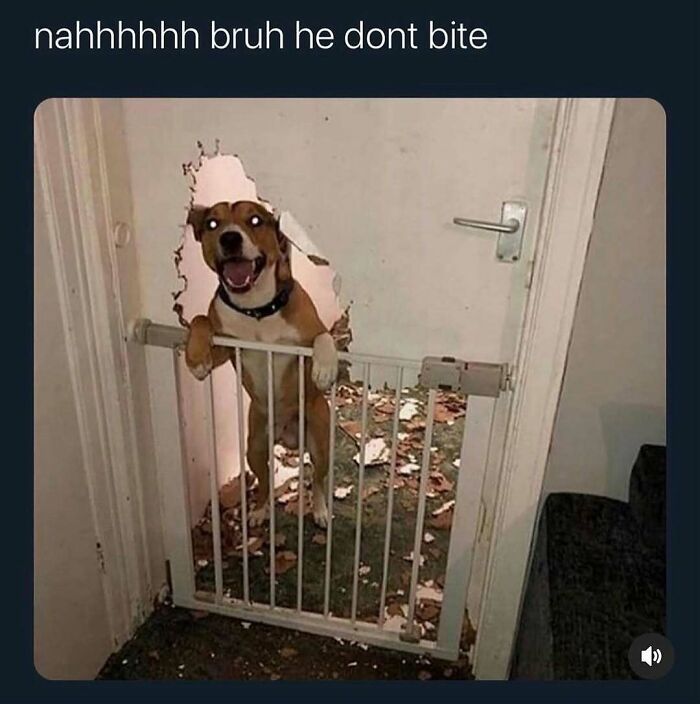 The Wildest, Most Relatable Memes That Nail Everyday Life