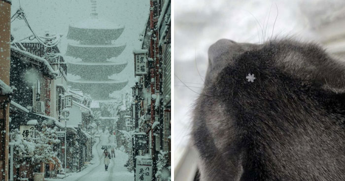 Wait, People Actually Love Winter? Check Out These Snow Pics!
