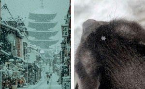 Wait, People Actually Love Winter? Check Out These Snow Pics!
