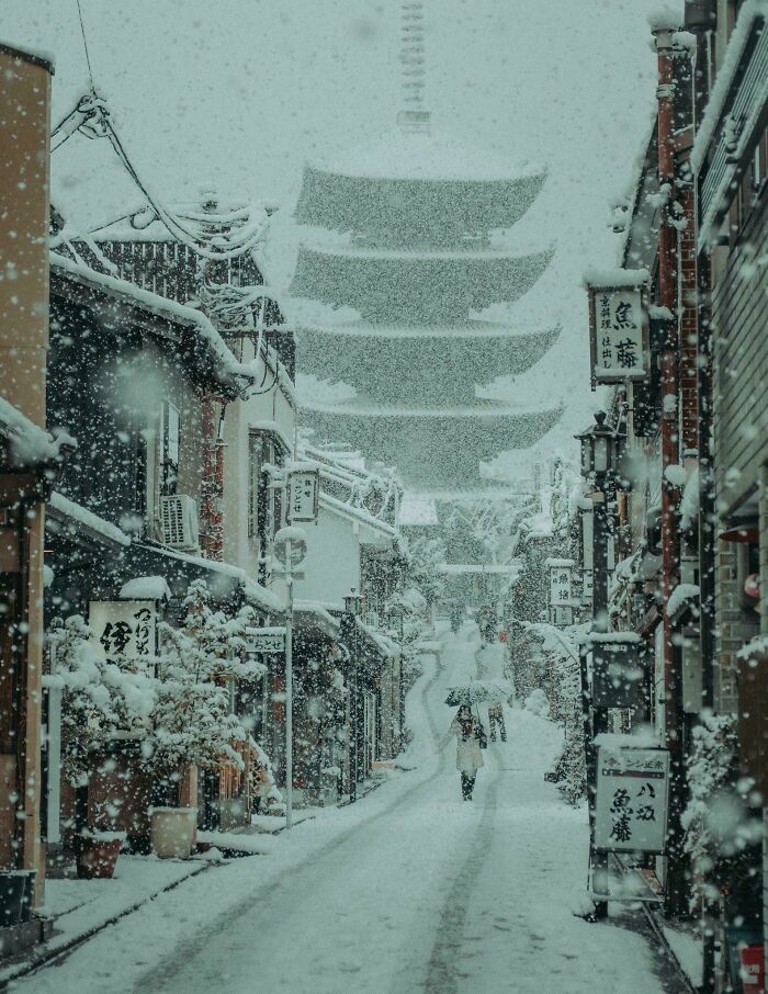 Snowy Zen Vibes: Kyoto, Japan