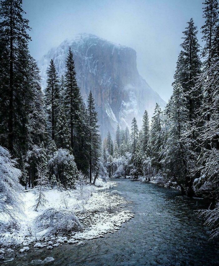 Snowy Yosemite: Nature’s Ice Sculpture Gallery