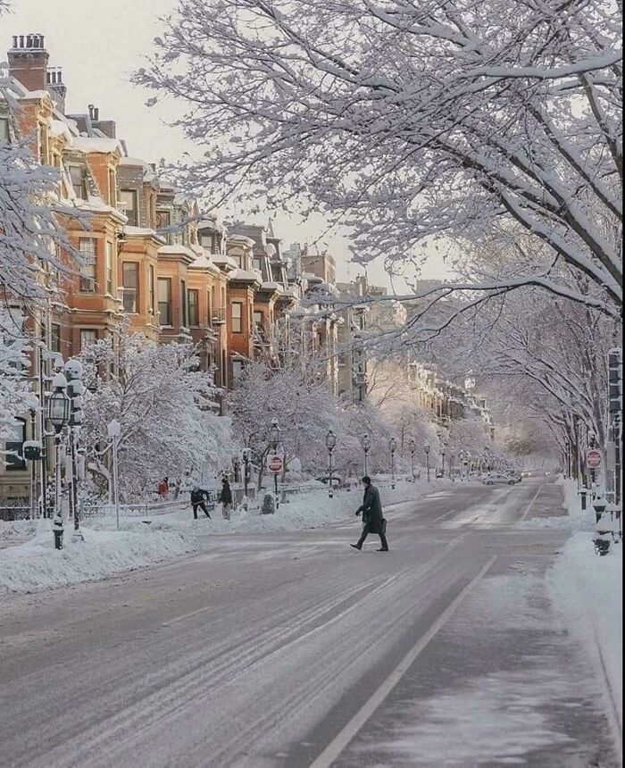 Boston’s Snowy Charm
