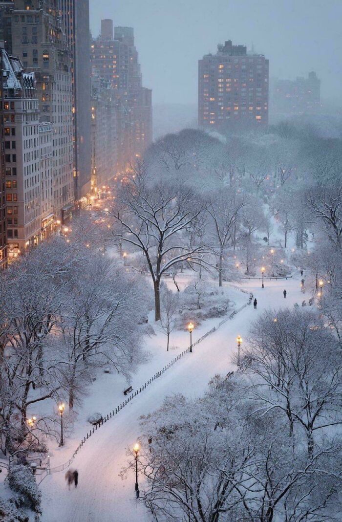 Central Park Dressed in Snow