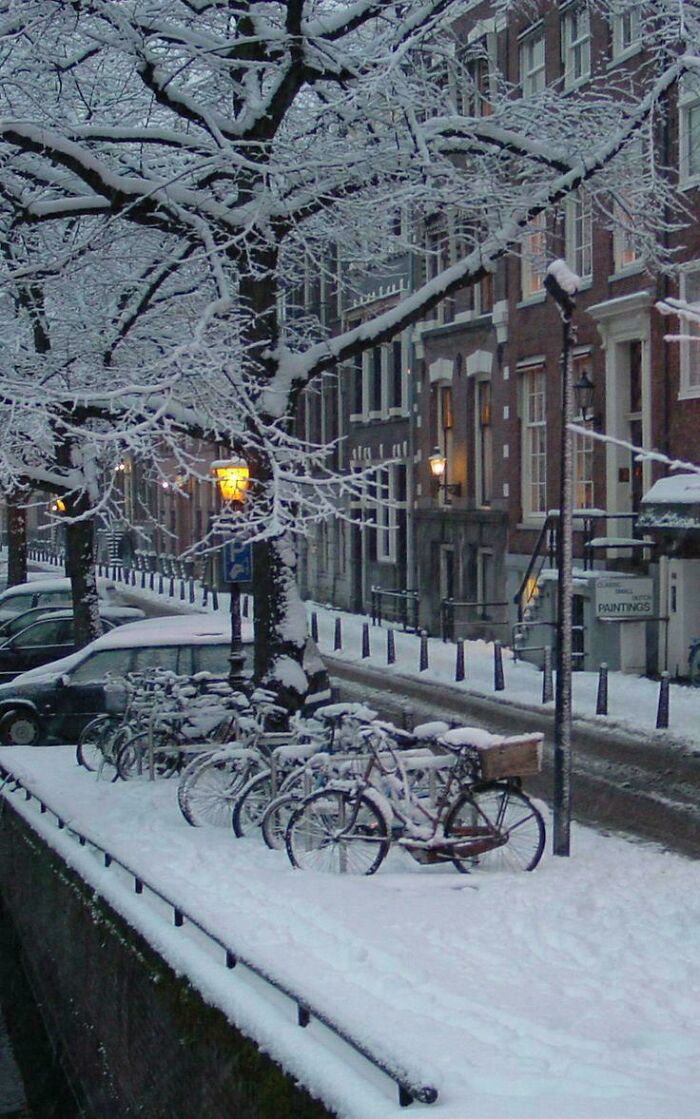 Classic Netherlands Snow Vibes