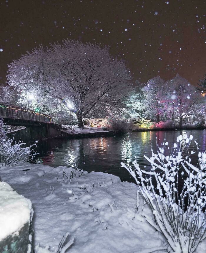 Cold but Comfy St. John’s, Canada