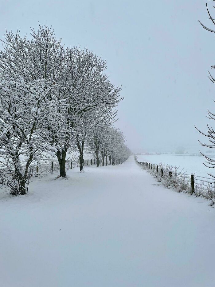 Aberdeenshire’s Snow Day Surprise