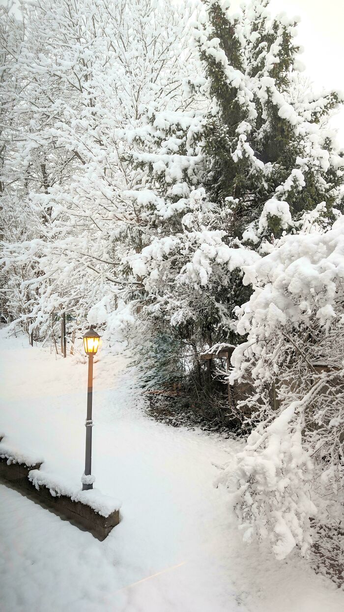 Norway Views Straight Outta Dreamland