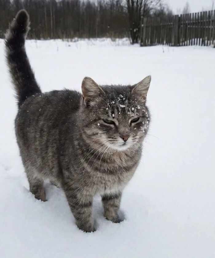 Do You Think This Guy Loves Snow?