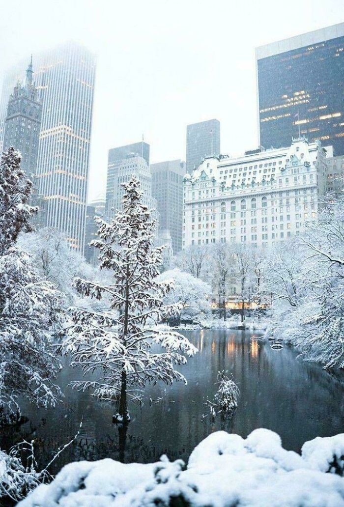 Central Park Taking Its Snow Bow