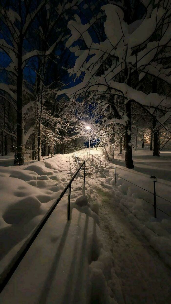 Snowy Heartfelt Moments